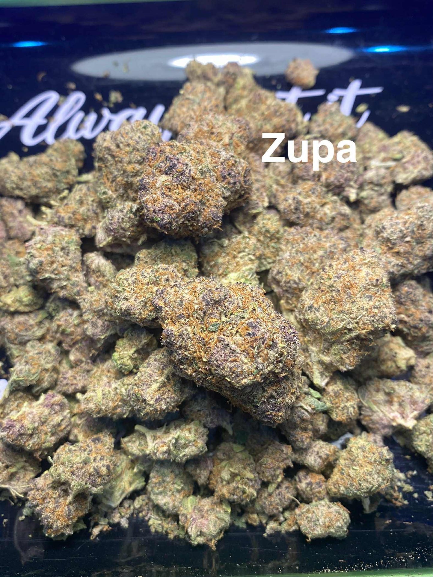 Zupa