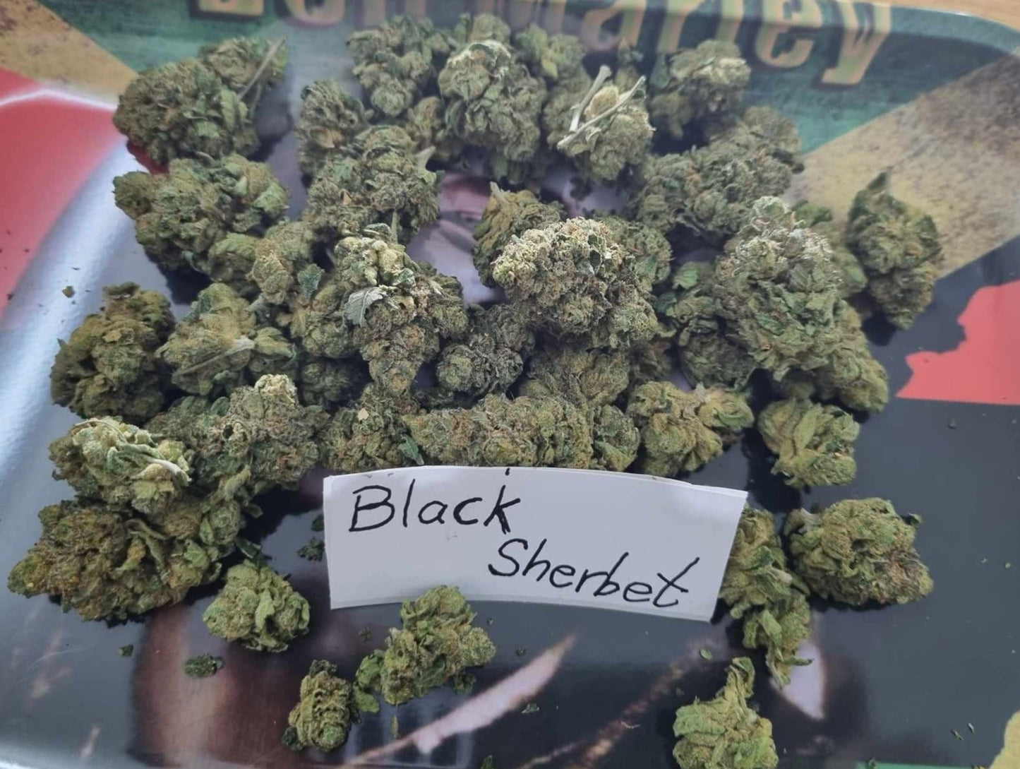 Black Sherbet, AAA Grade!