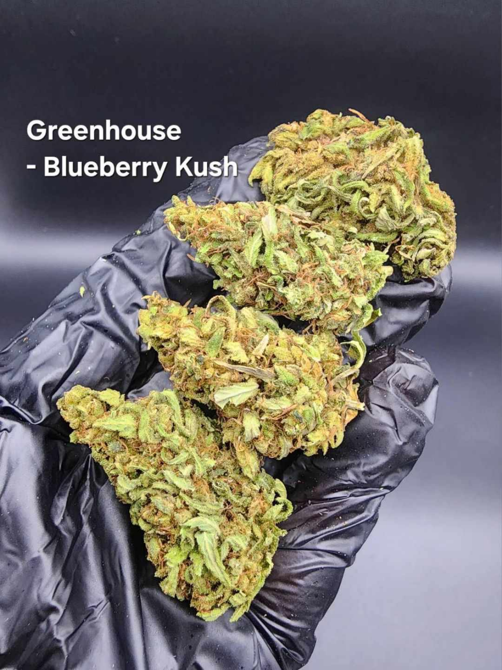 Blueberry Kush