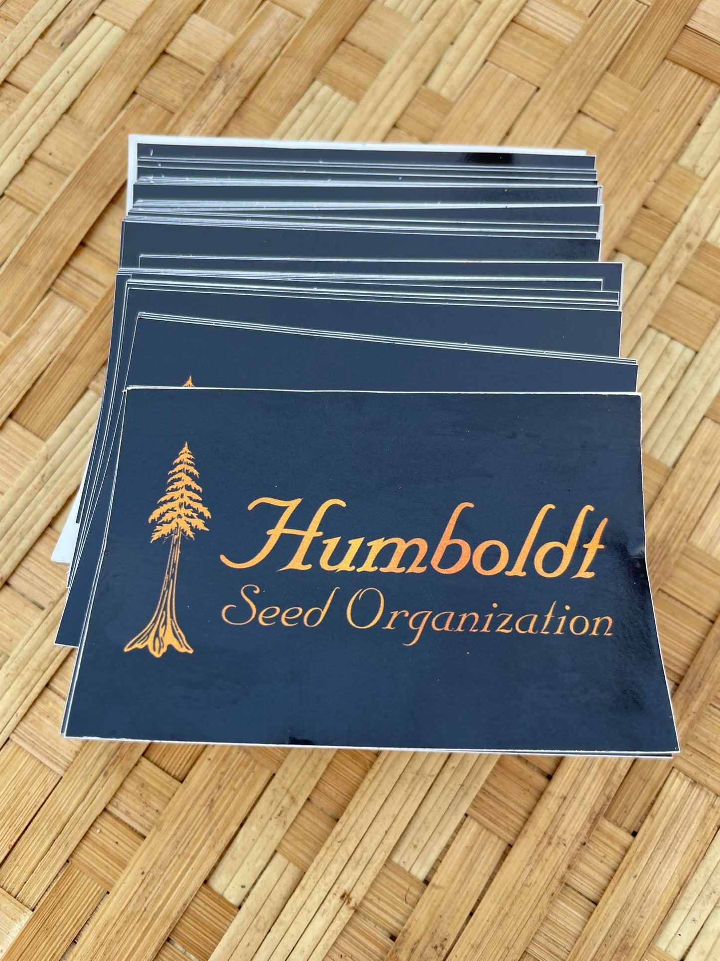 Peanut Butter Breath (fast flowering) / พีนัท บัตเตอร์ เบรท (ออกดอกเร็ว)