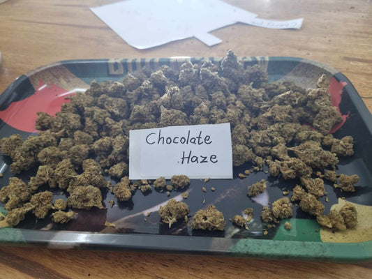 Chocolate OG Haze