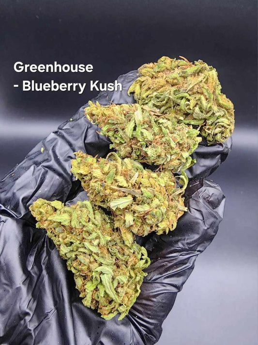 Blueberry Kush