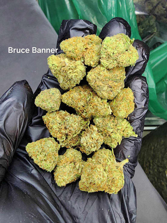Bruce Banner