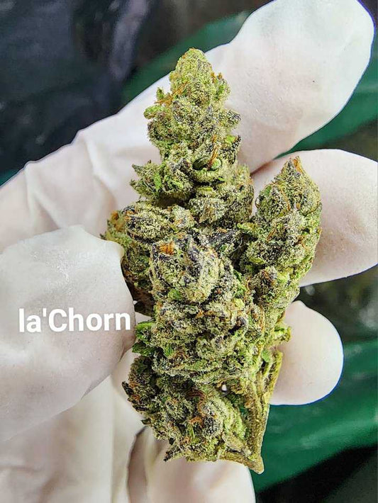 La Chron